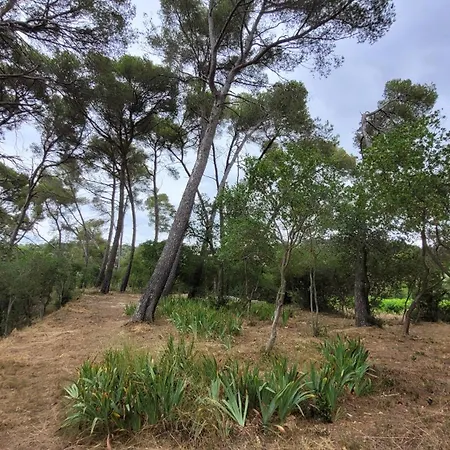 La Pinede, Privatif Au Chateau Aumes