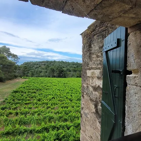 La Pinede, Privatif Au Chateau *