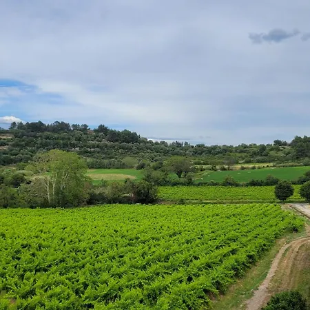 La Pinede, Privatif Au Chateau