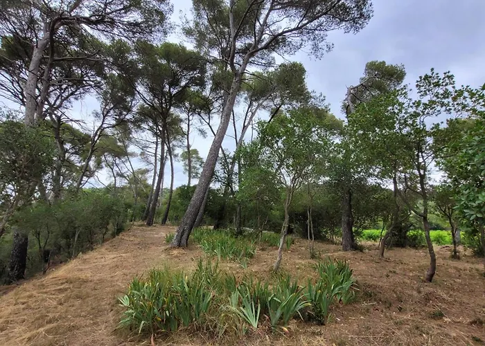La Pinede, Privatif Au Chateau Aumes