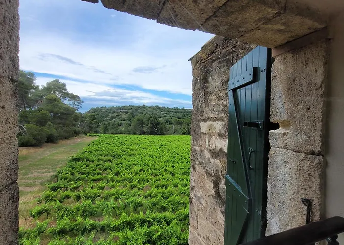 La Pinede, Privatif Au Chateau *