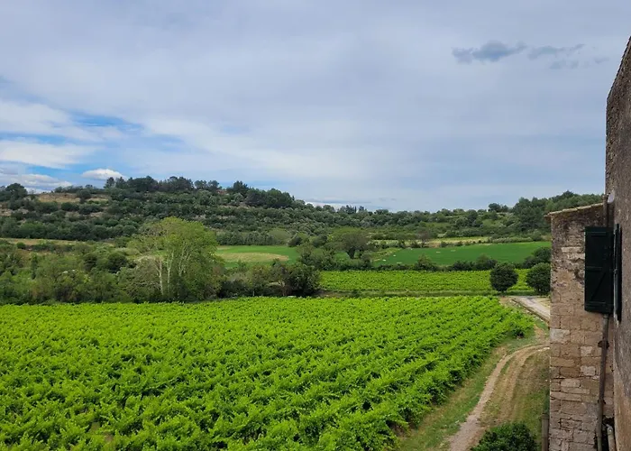 La Pinede, Privatif Au Chateau