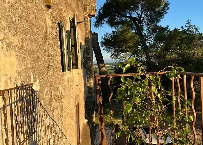 La Pinede, Privatif Au Chateau