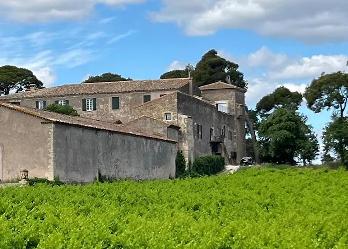 La Pinede, Privatif Au Chateau Aumes